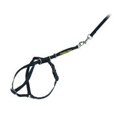 Cat Harness & Leash - Medium